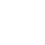 icône Twitter
